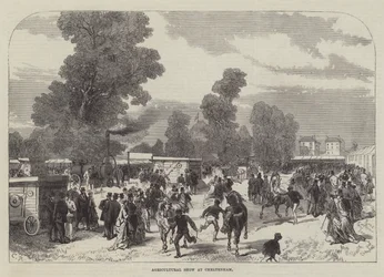 Agricultural Show at Cheltenham